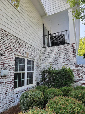 {{ custom_values.service_3 }} in {{custom_values.area_7})