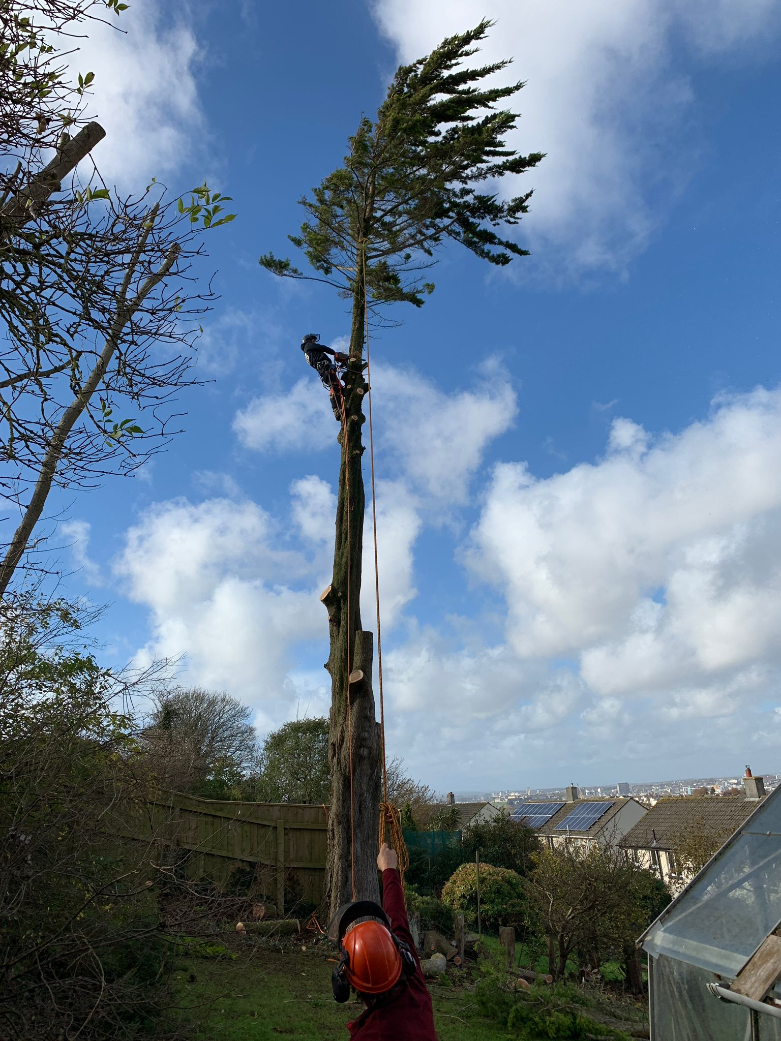 Tree Pruning