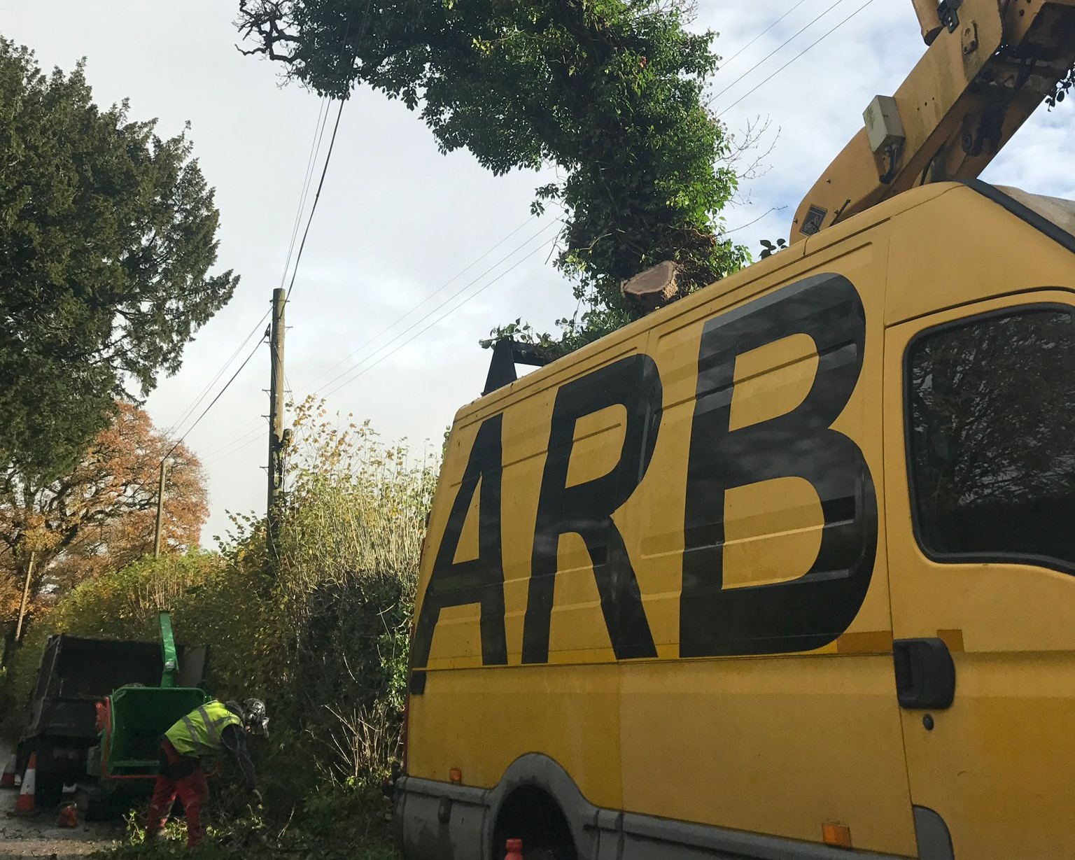 tree surgeon devon