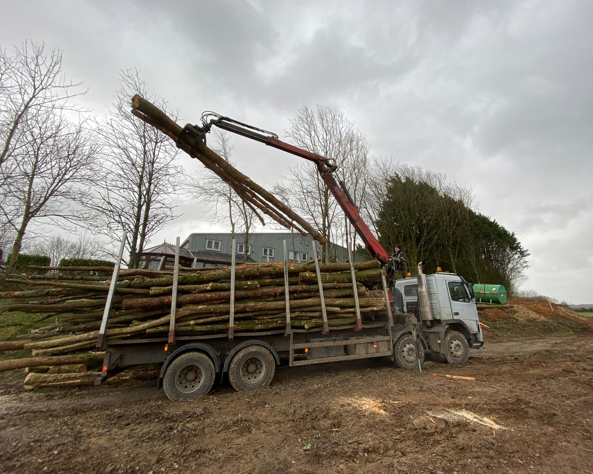 tree surgeon devon