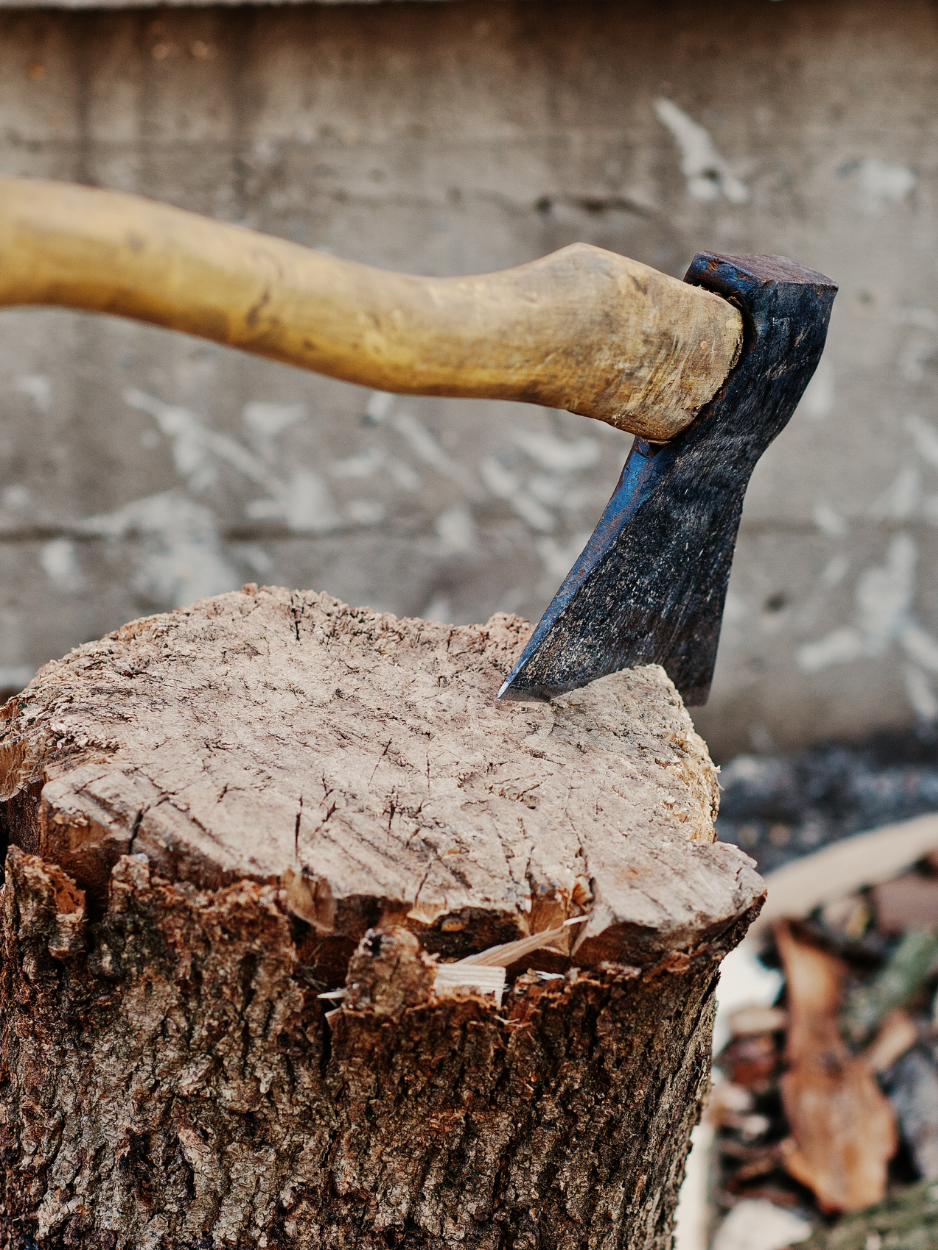 Tree Surgery