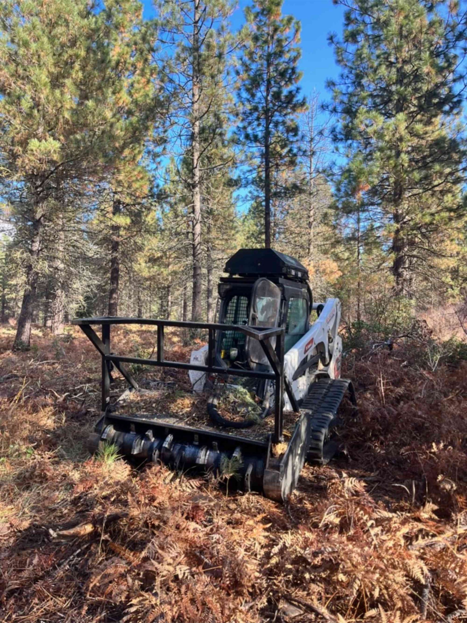 Defensible Space & Vegetation Management