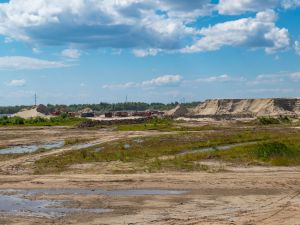 Site Preparation in Kissimmee