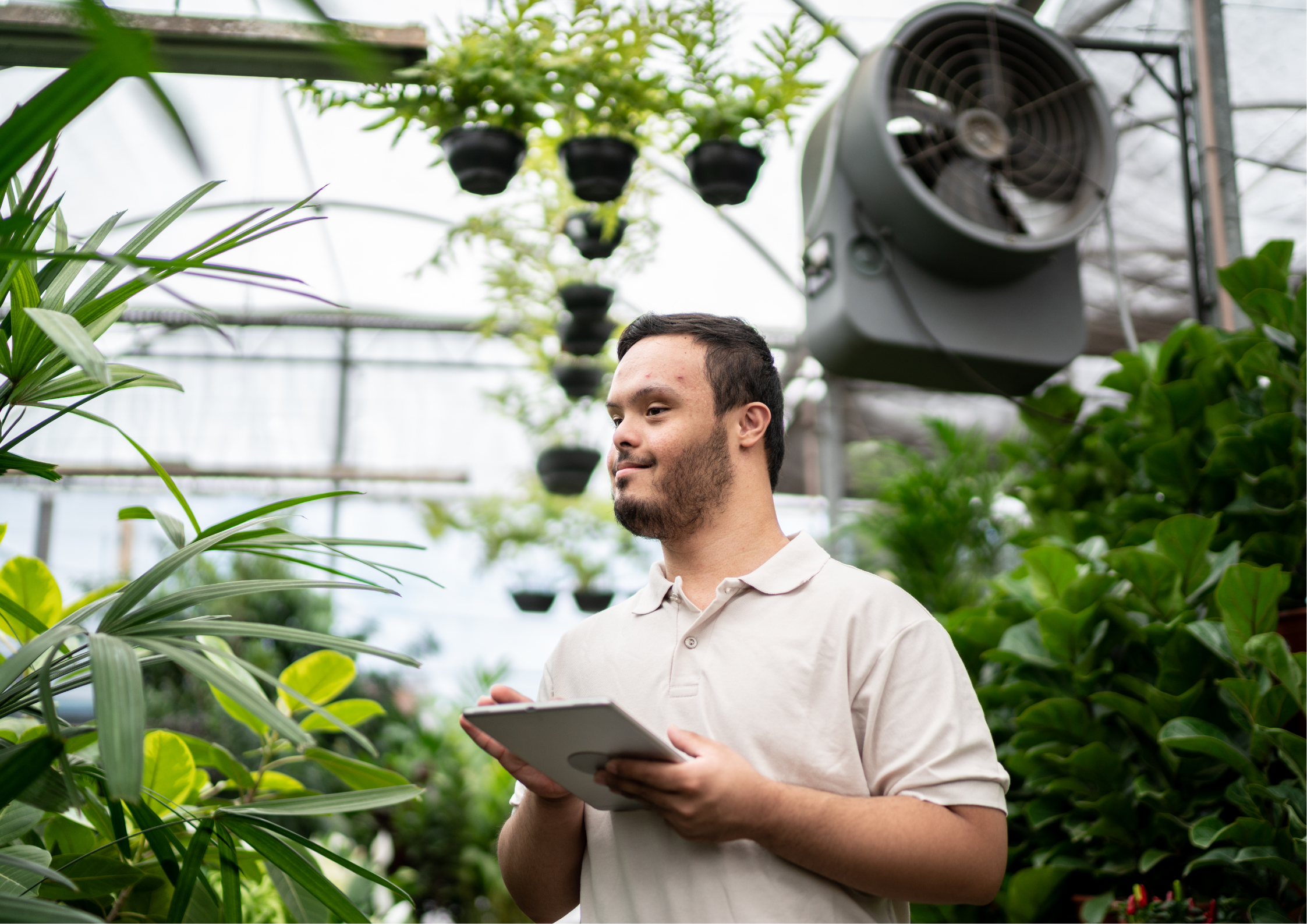 A young man with Down syndrome using a digital tablet to manage plants in a professional greenhouse setting.