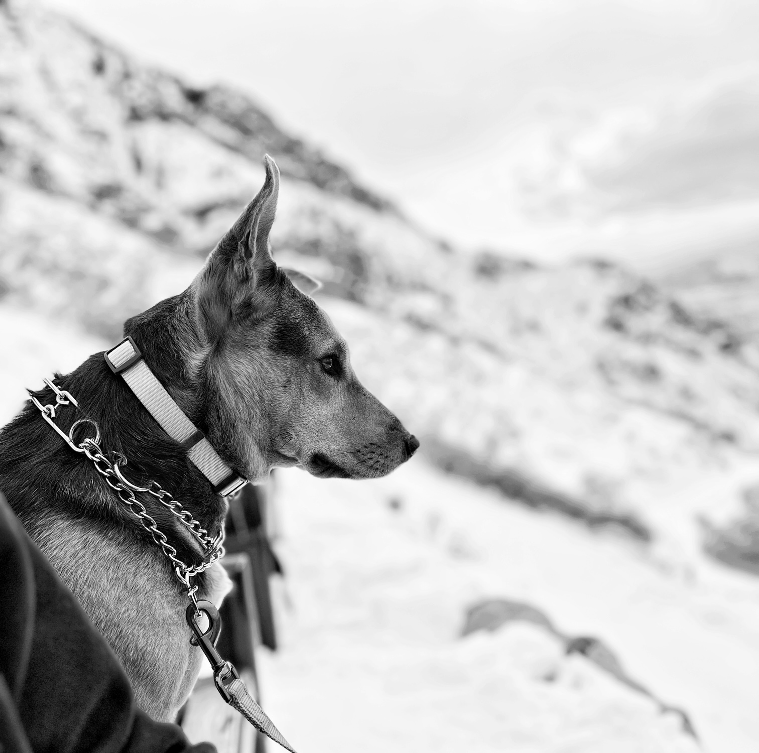 Art Nights & Events Lehi