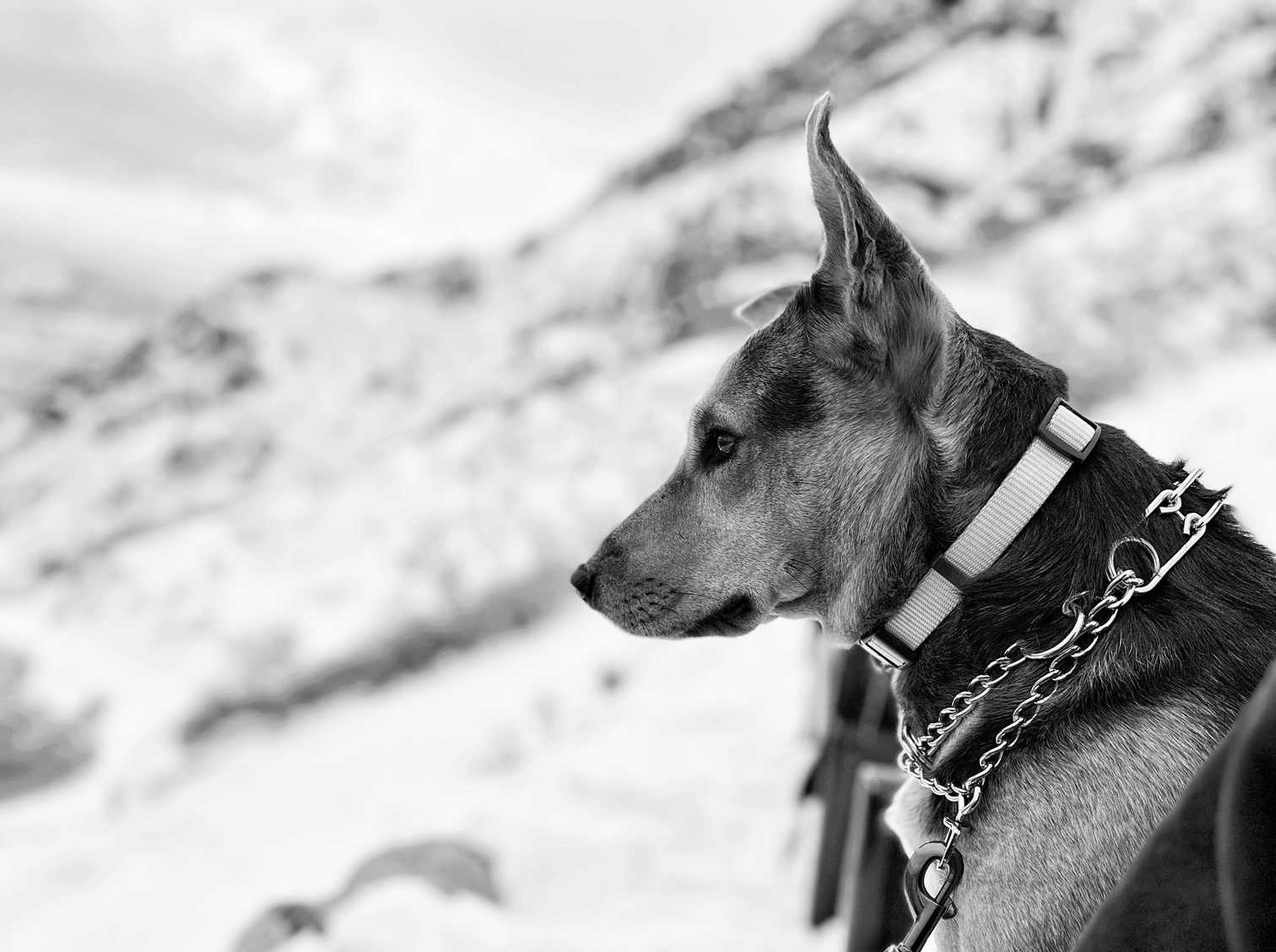 {{ custom_values.service_1 }} in {{custom_values.biz_area_1})