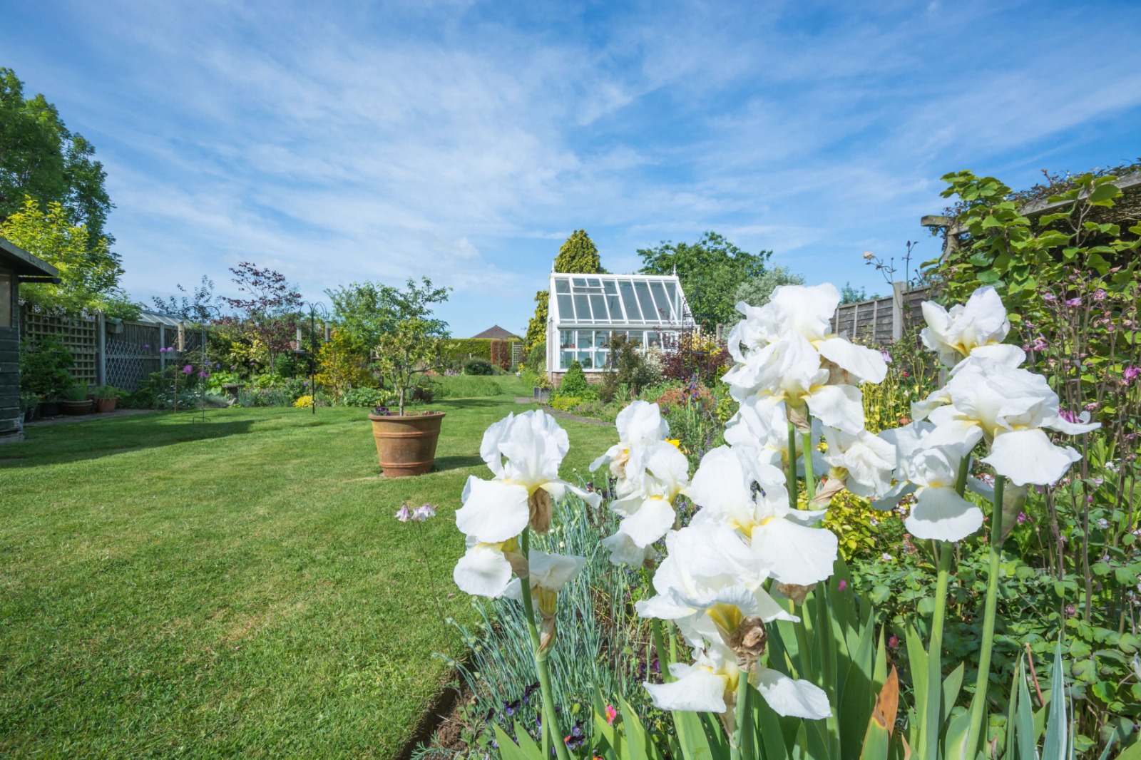 Well-maintained garden with white iris flowers, lawn, and greenhouse, cared for under Orgee's garden maintenance package Well-maintained garden with white iris flowers, lawn, and greenhouse, cared for under Orgee's garden maintenance package