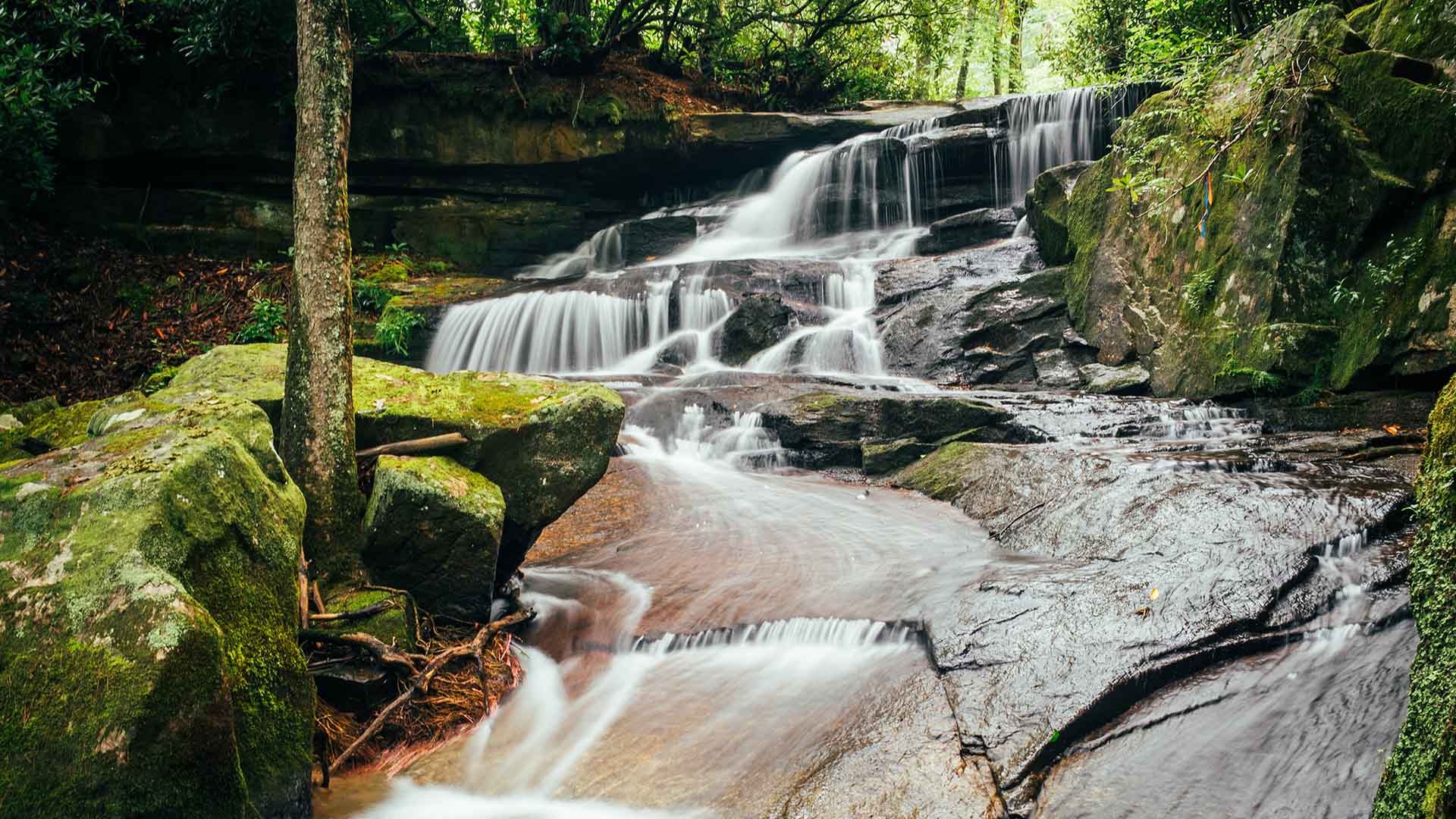 Tommy Falls
