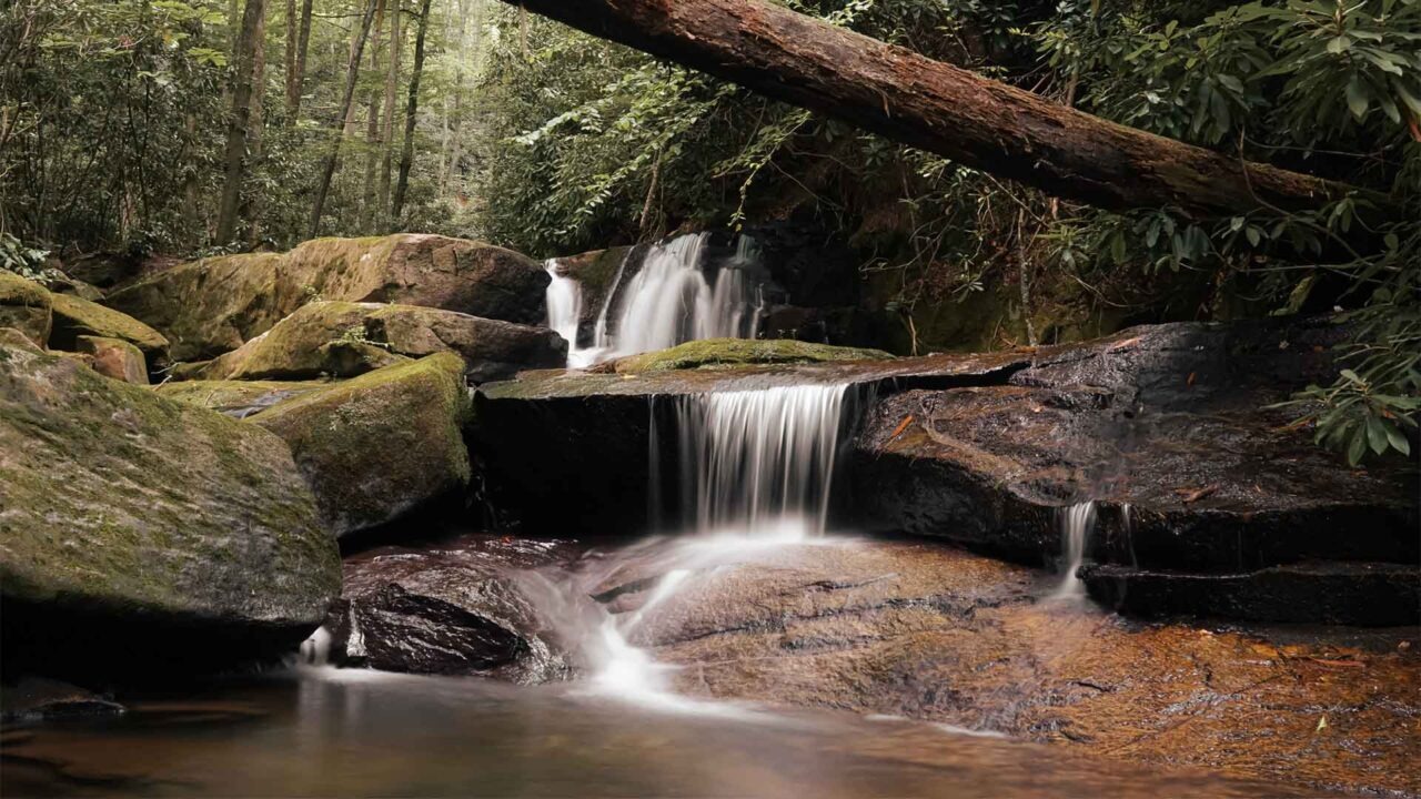Shower Falls