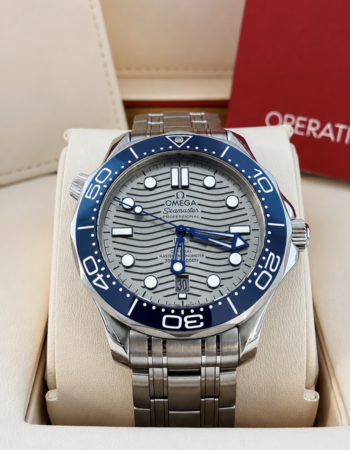 Omega Seamaster Professional 300M 2019 Full Set Ref. 210.30.42.20.06.001