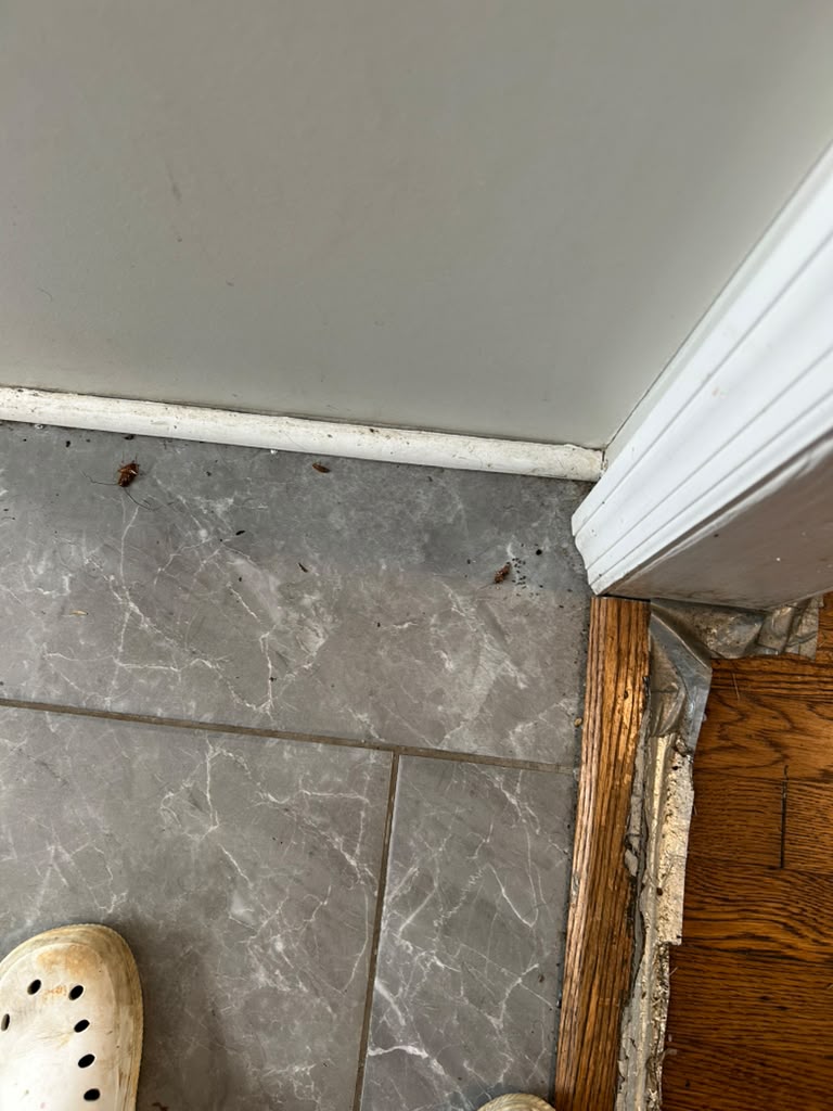 Office cleaning project completed by Best Way Construction Services LLC in Richmond, VA