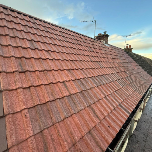 Recent roof project