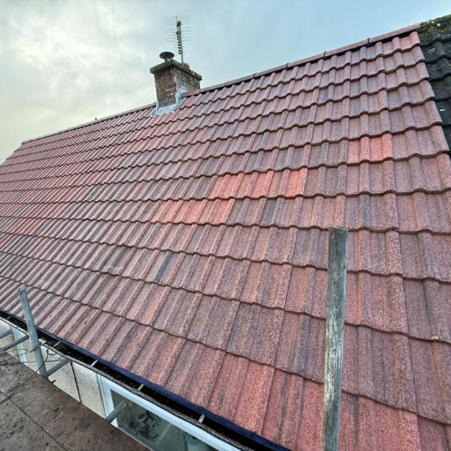 Recent roof project