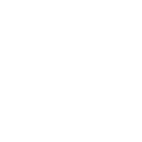 Digital Marketing Services