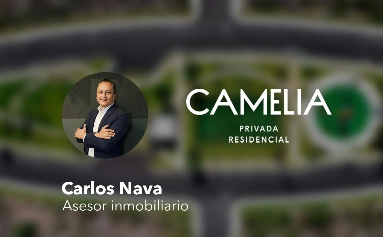 Camelia