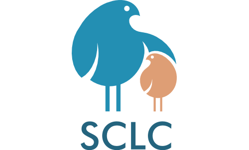 Social and Cognitive Learning Center