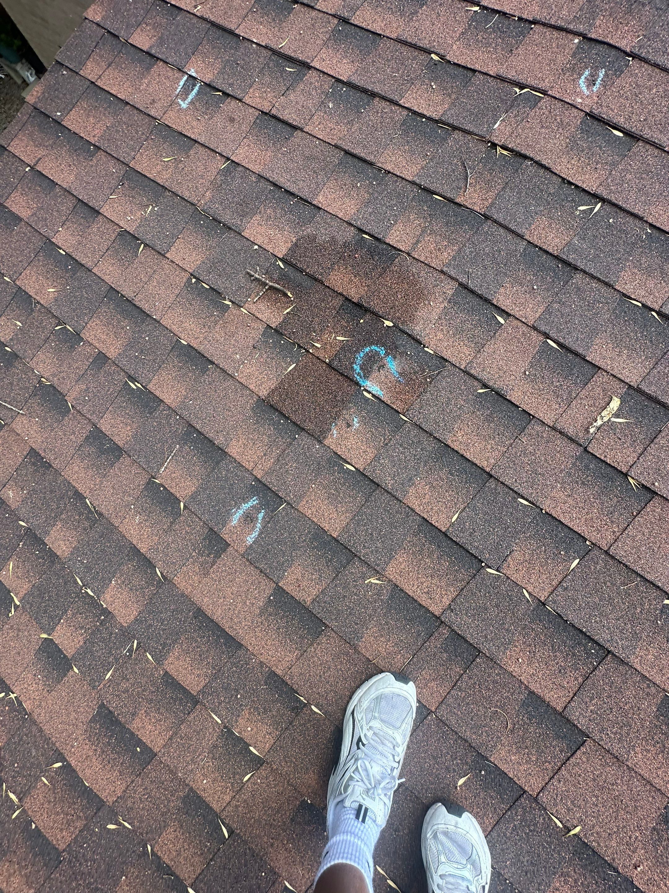Daño de granizo en tejas