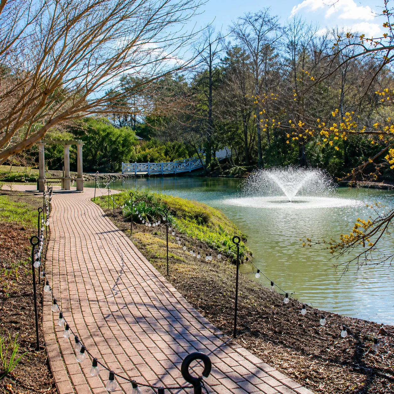 Sunlit sandy trail through Hitchcock Woods, or the fountains at Hopelands Gardens