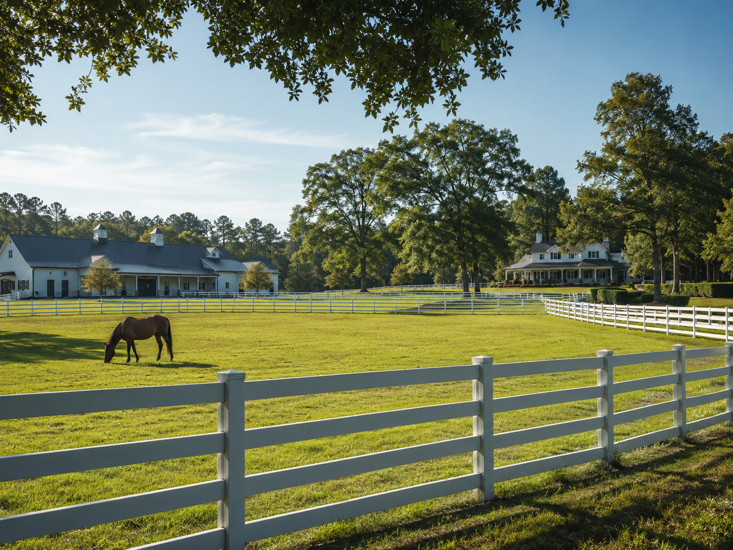 Horse property with pasture and fencing in Aiken SC horse country