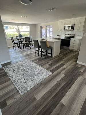 Kitchen Remodel in Pasco County