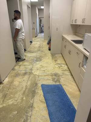 Tiny Homes in Pinellas County