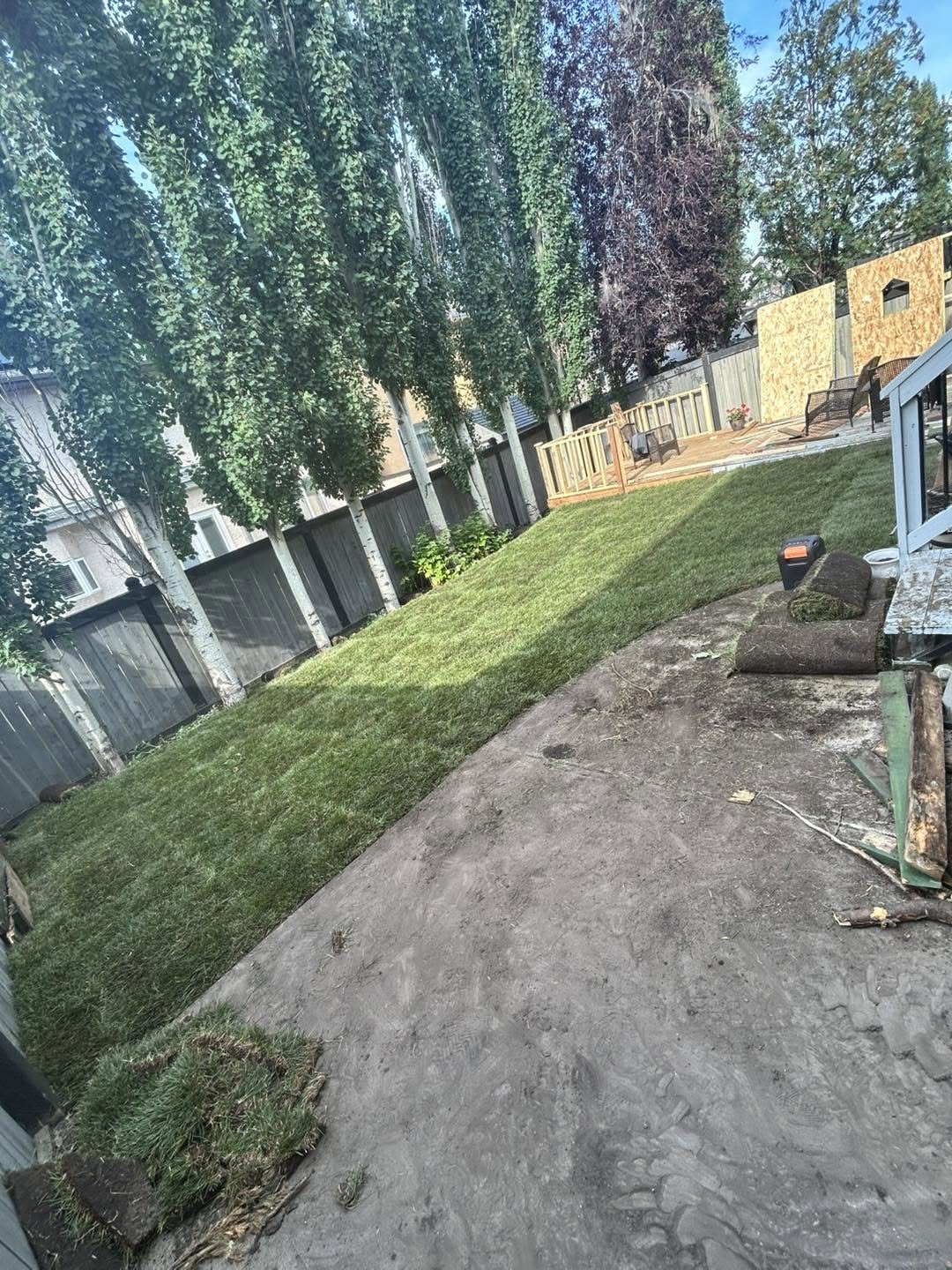 Fresh sod laid along a fence line in an Edmonton backyard