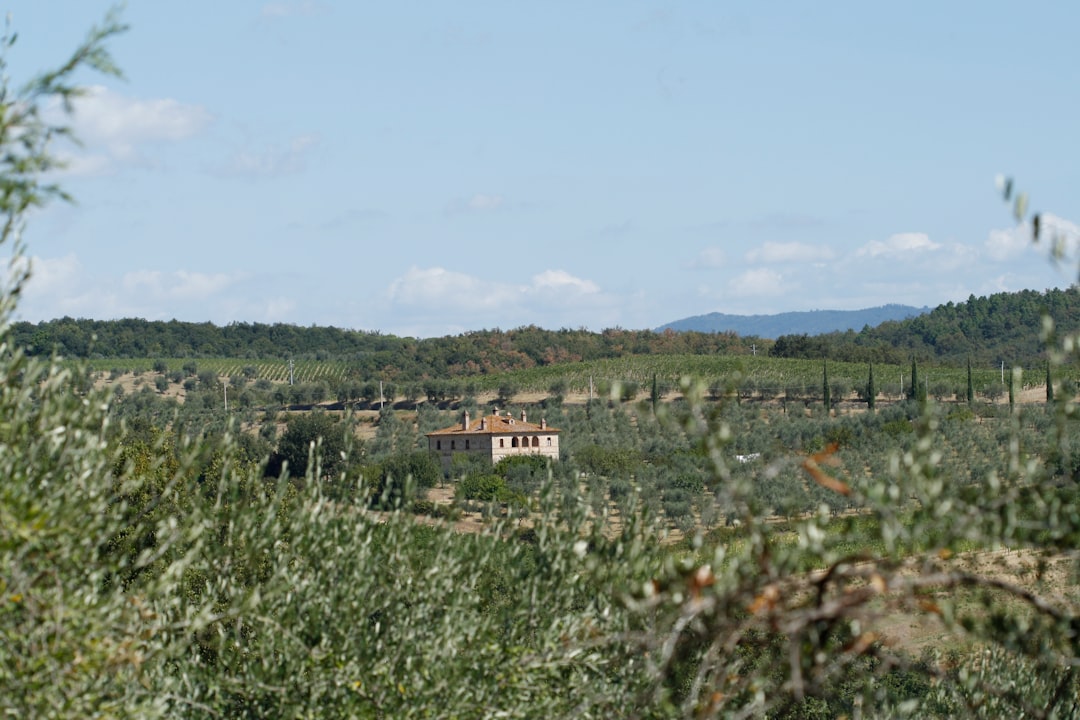 Siena