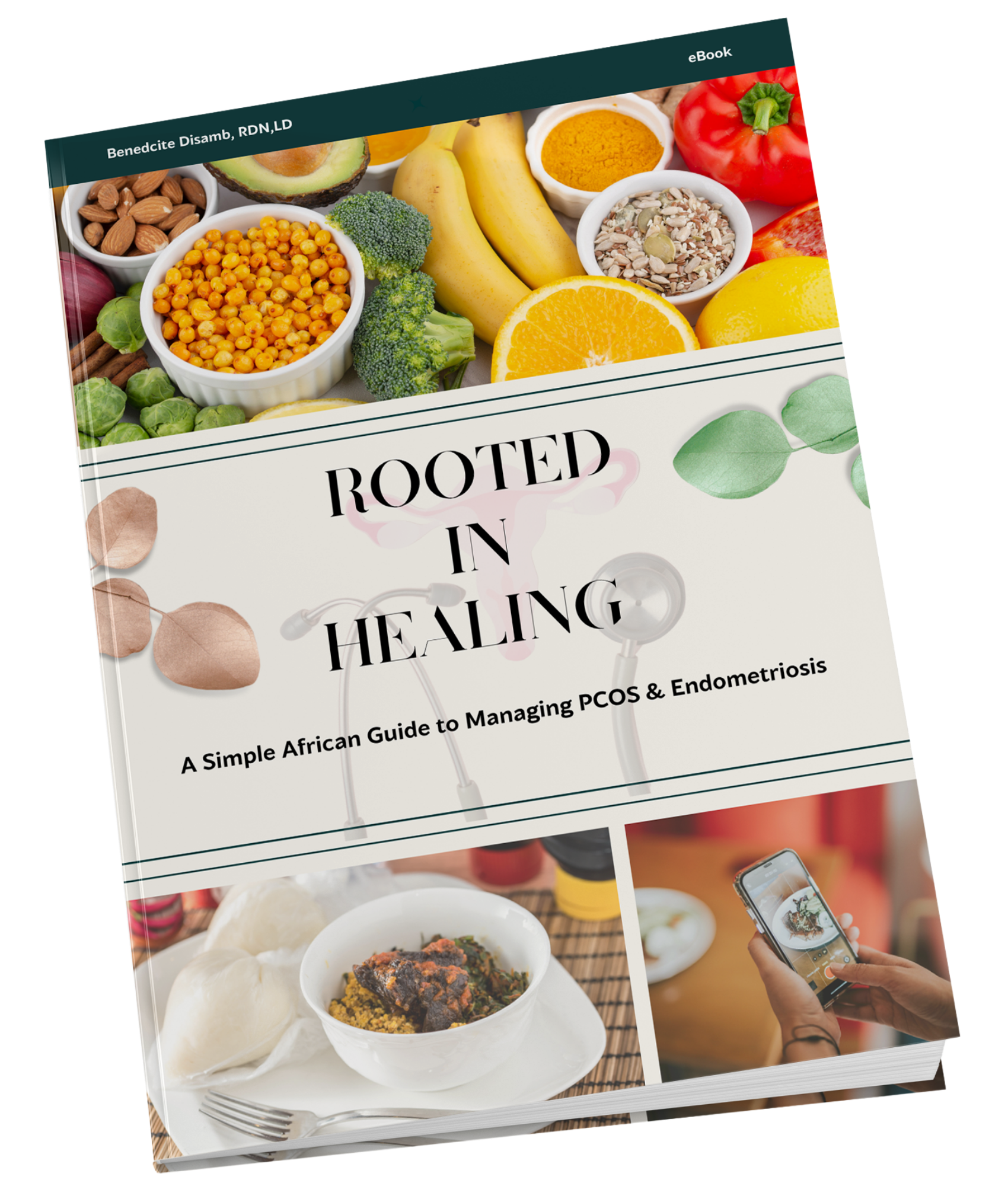 Rooted in Healing eBook cover