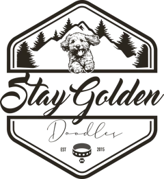 Stay Golden Doodles logo
