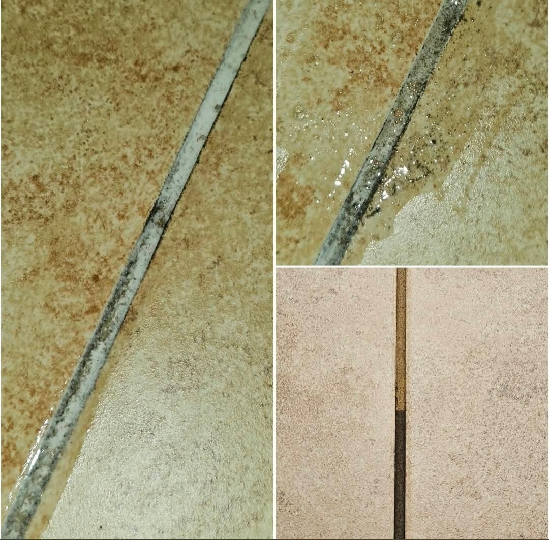 Grout Cleaning 3