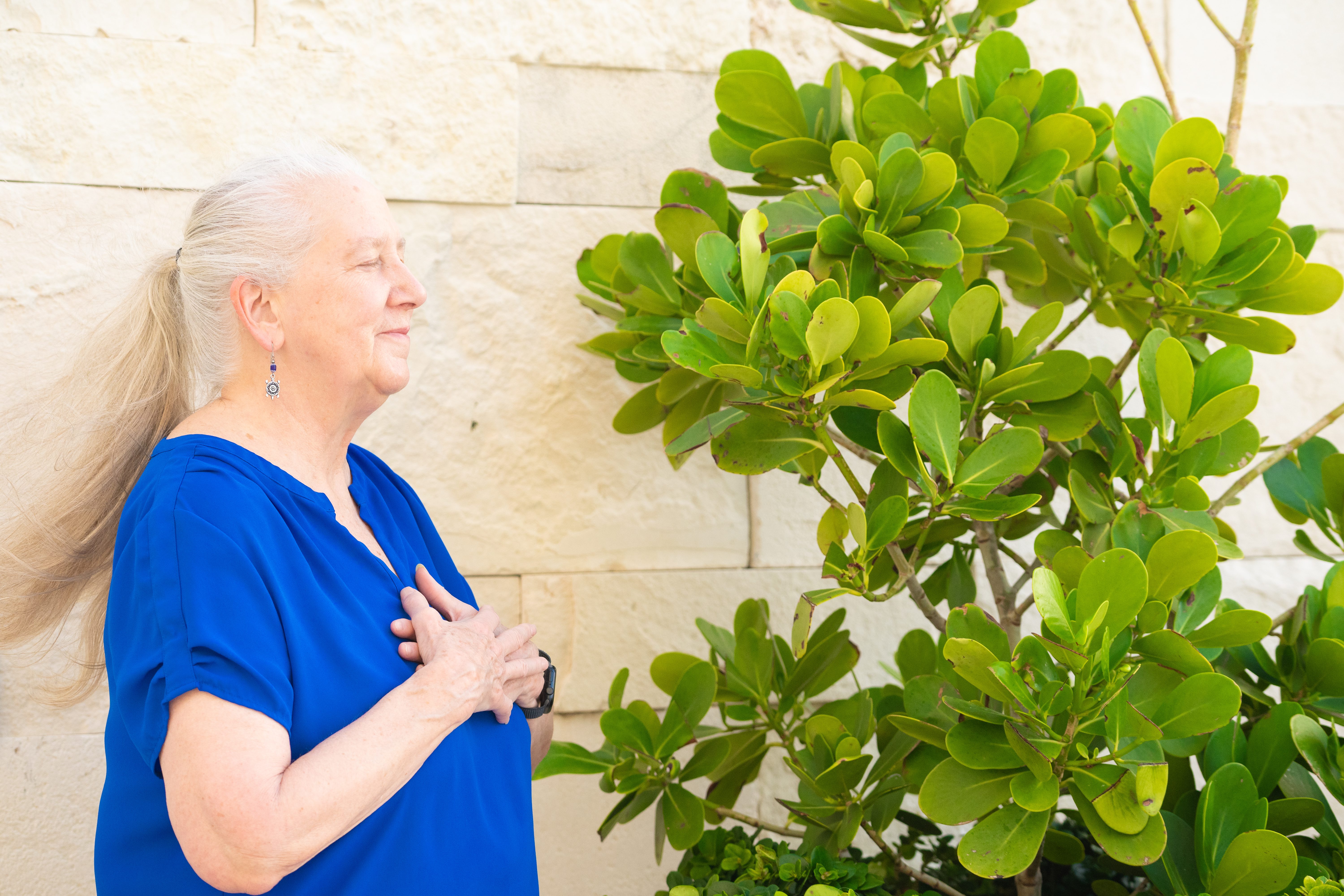golden hour photography of yellow flower field