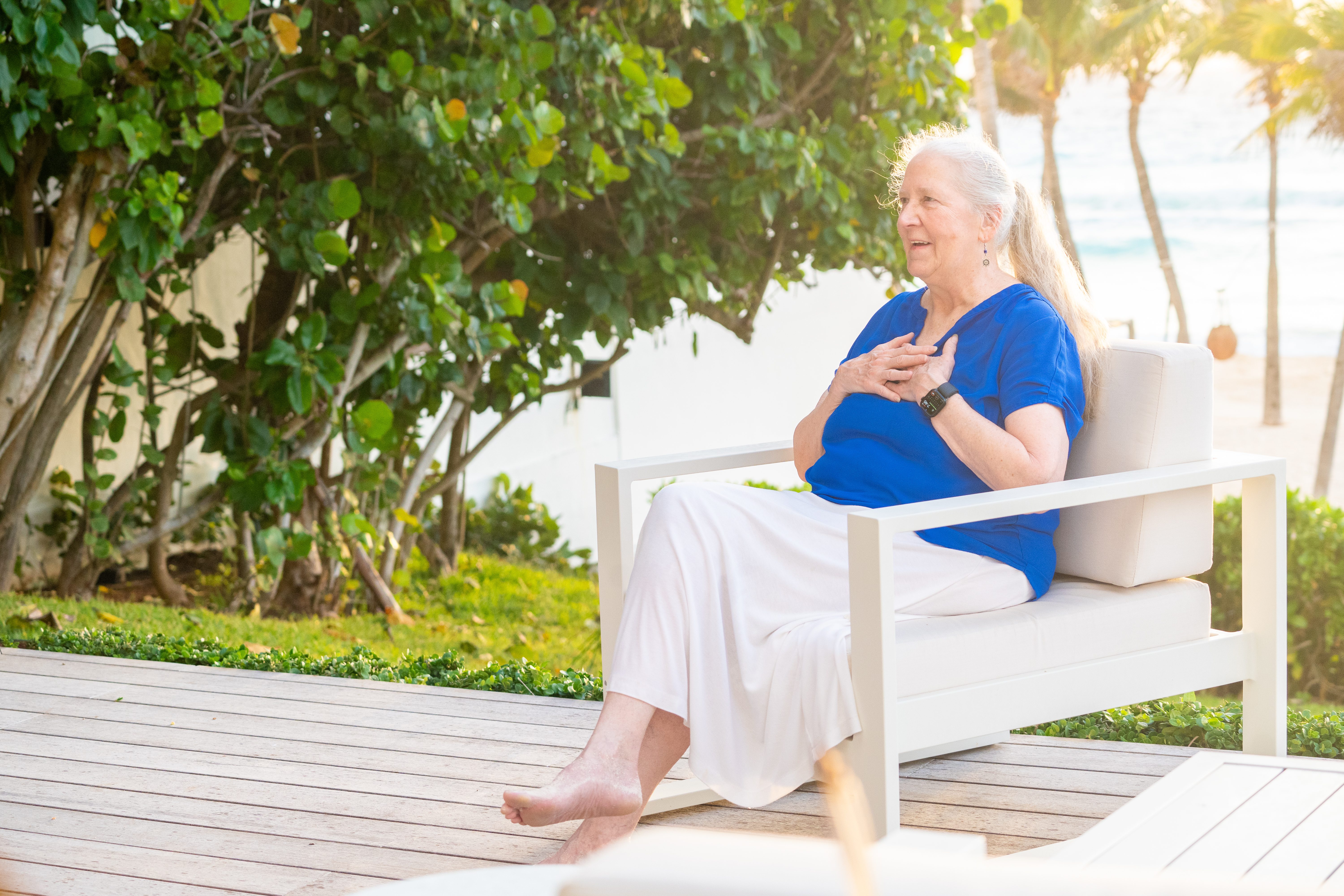 golden hour photography of yellow flower field