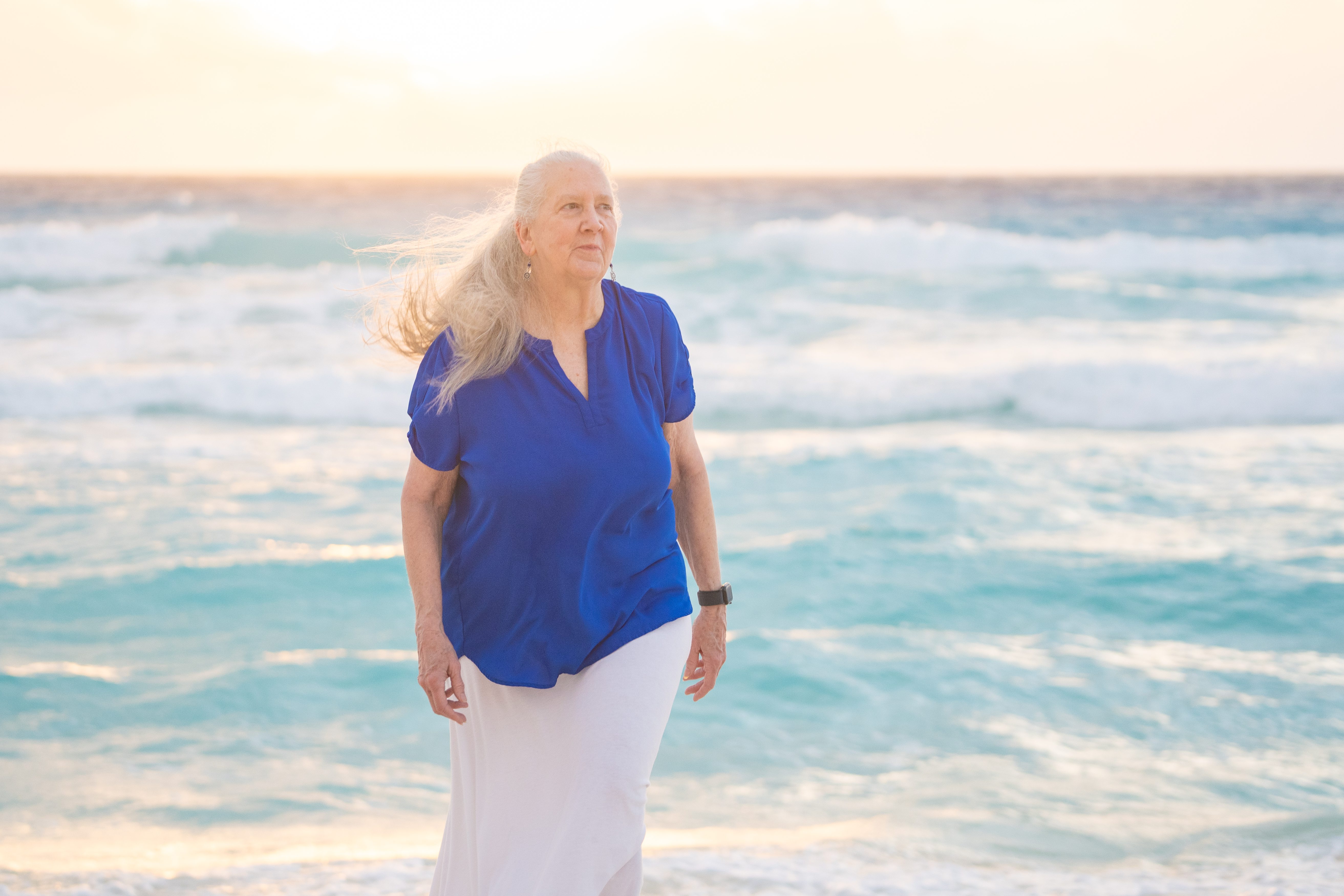 a flock of birds flying in the sky at sunset