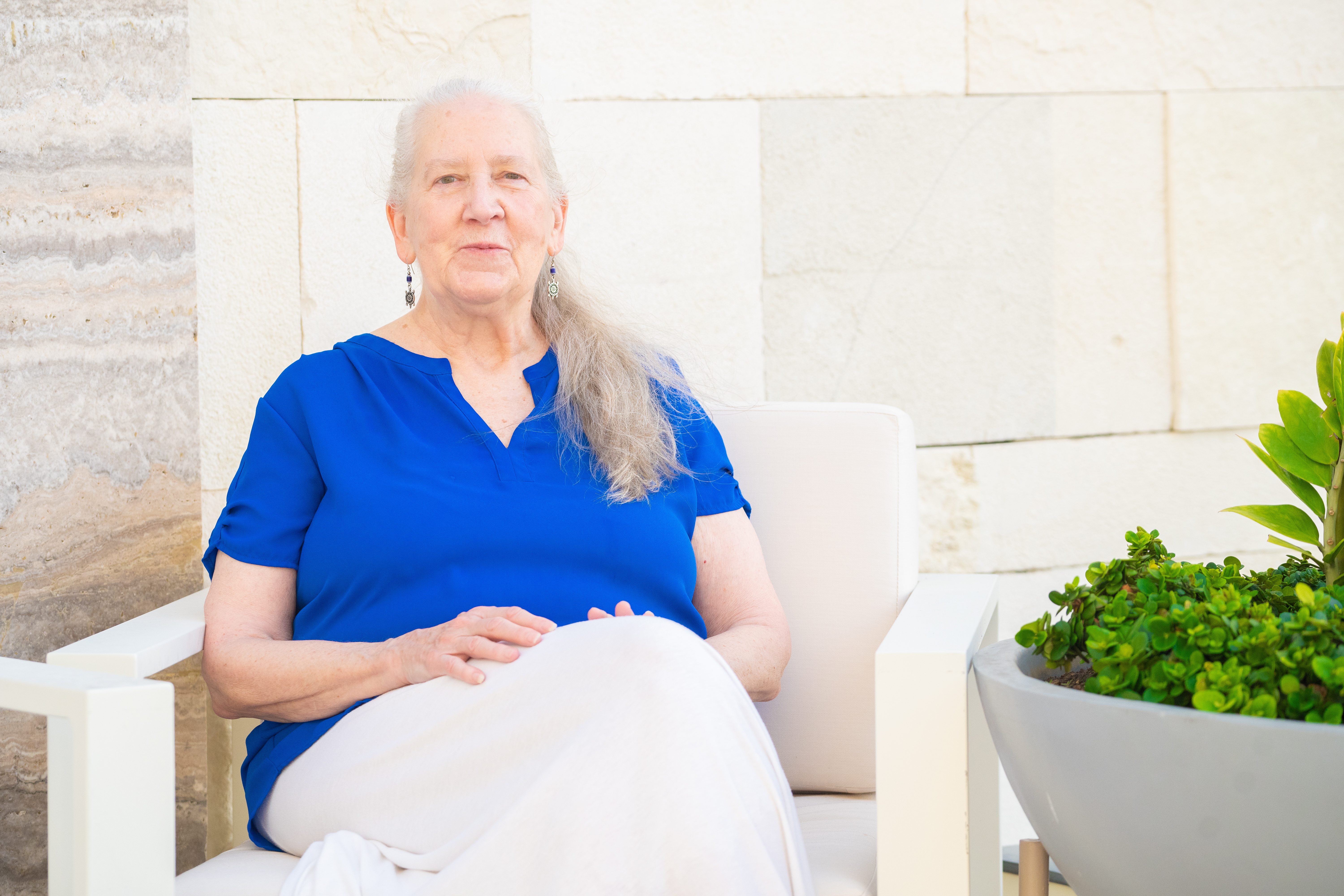 golden hour photography of yellow flower field