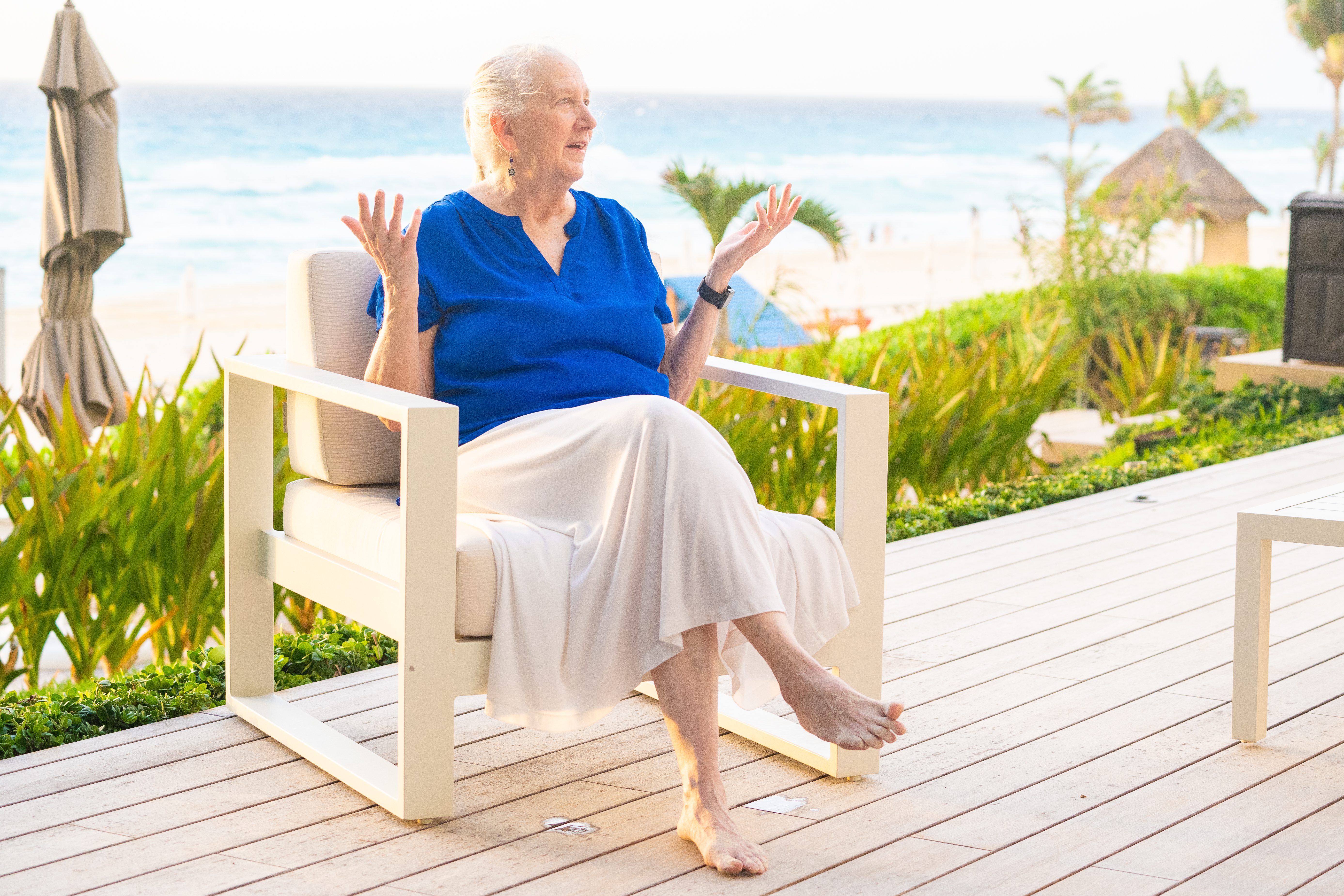 golden hour photography of yellow flower field