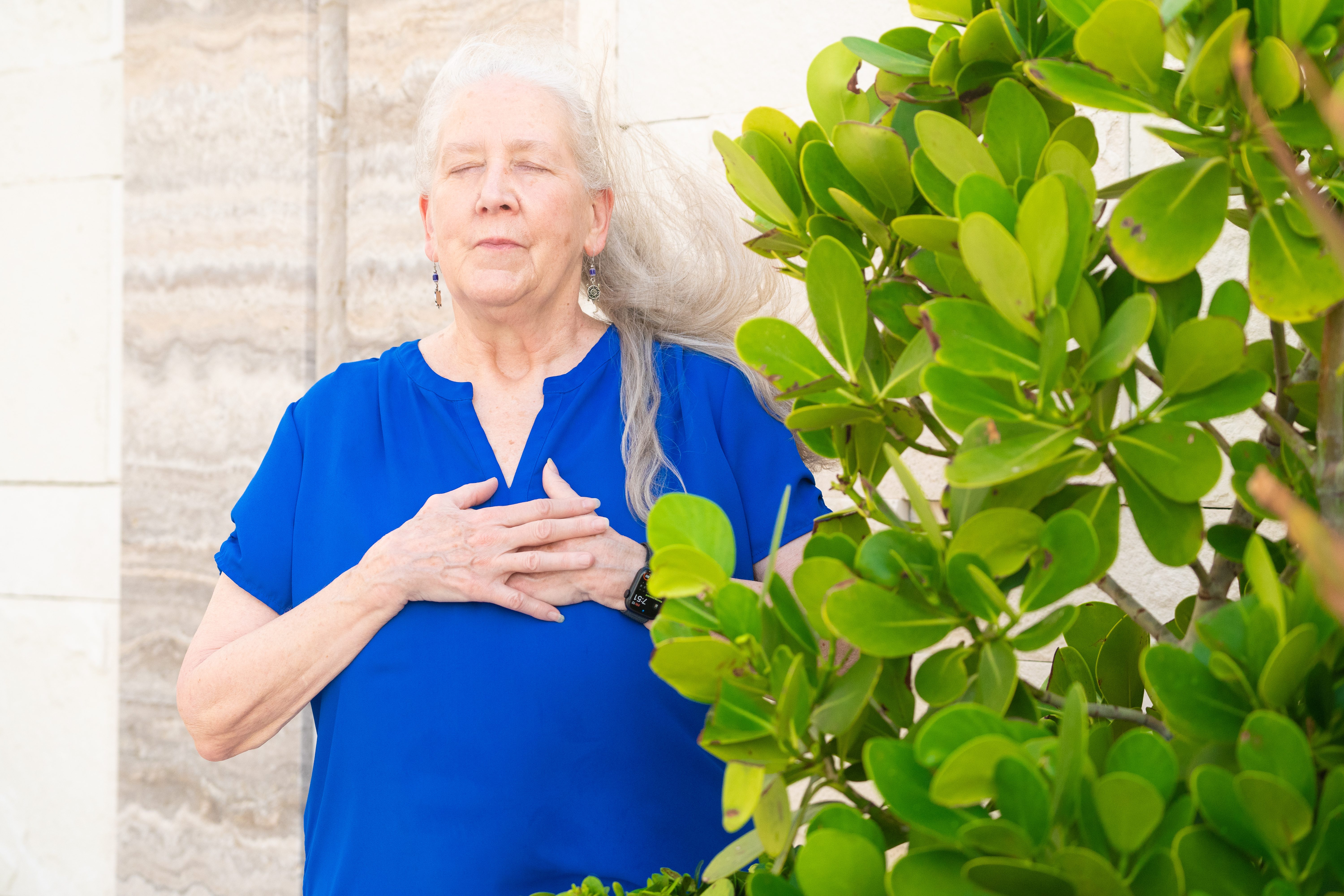 fog covered mountain