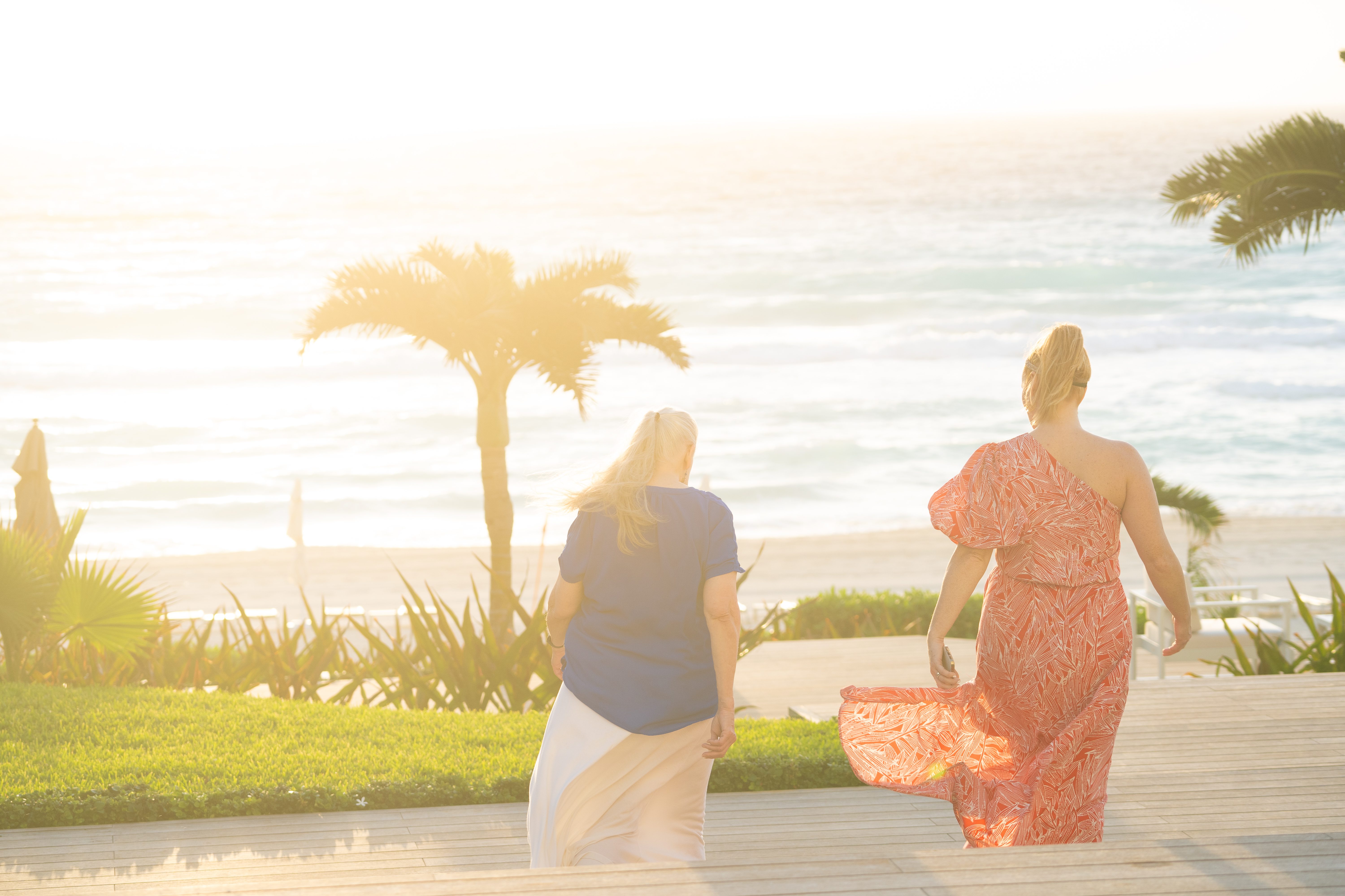 the reflection of a tree in the water