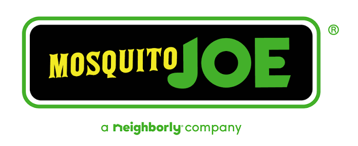Mosquito Joe