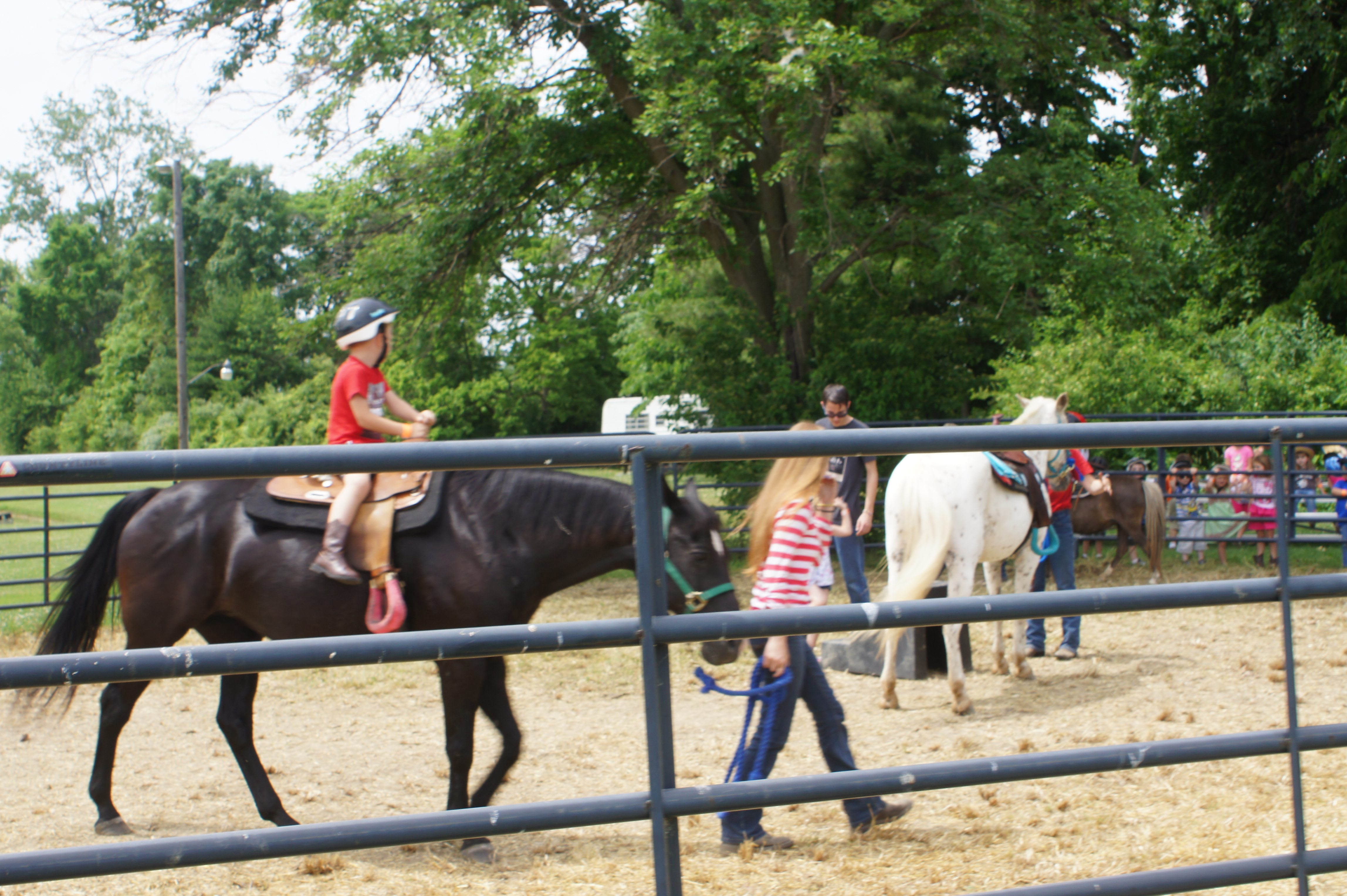 Cowboy Camp 4