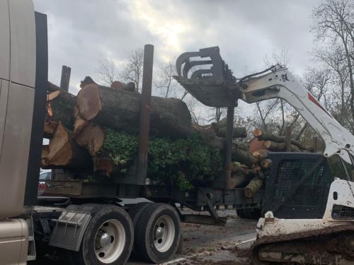 Land Clearing Atlanta