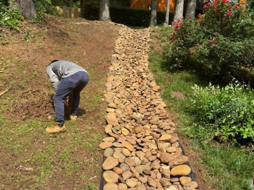 Stump Grinding Atlanta