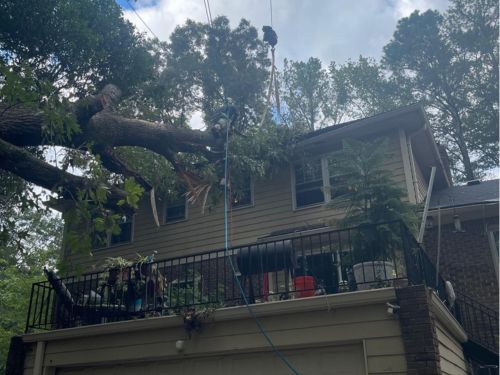 Tree Removal Atlanta