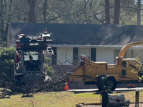 Stone Mountain Emergency Work