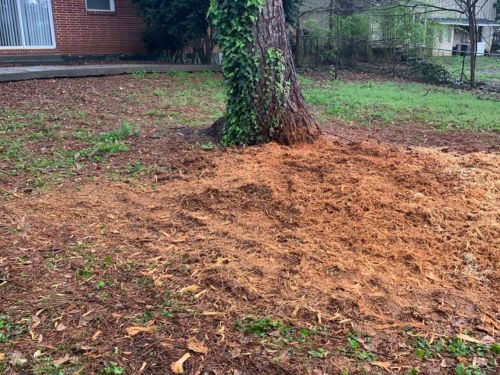 Stump Grinding in Atlanta