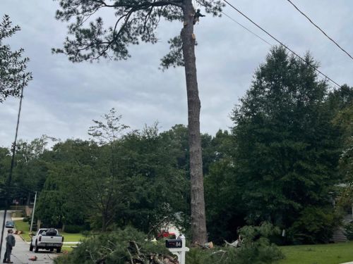 Land Clearing Atlanta