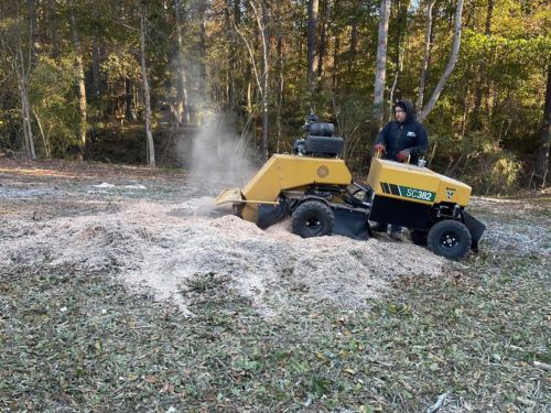 Gwinnett County Stump Grinding