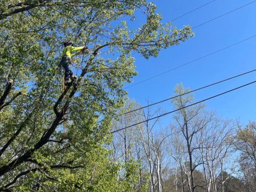 Rockdale County Emergency Work