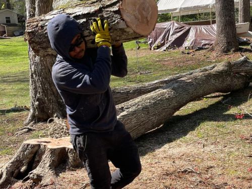 Tree Services & Land Clearing Atlanta