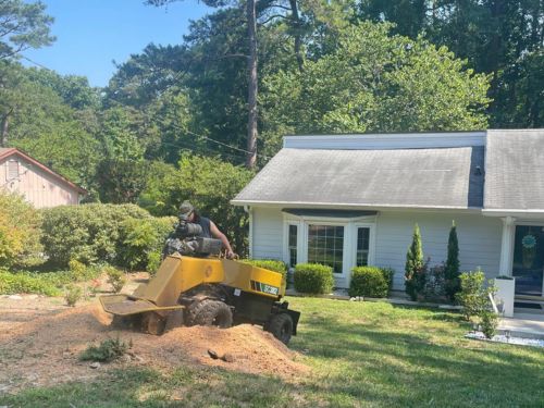  Tree Removal
