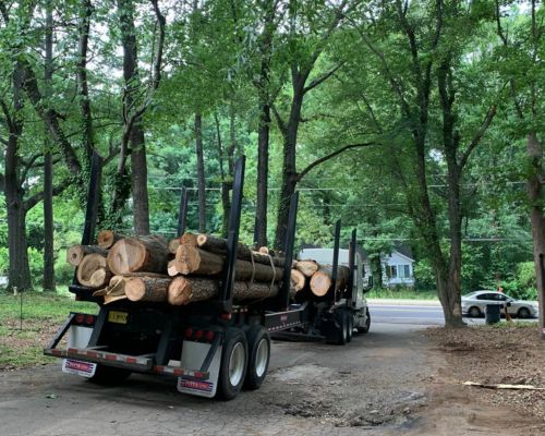Tree Services & Land Clearing Atlanta
